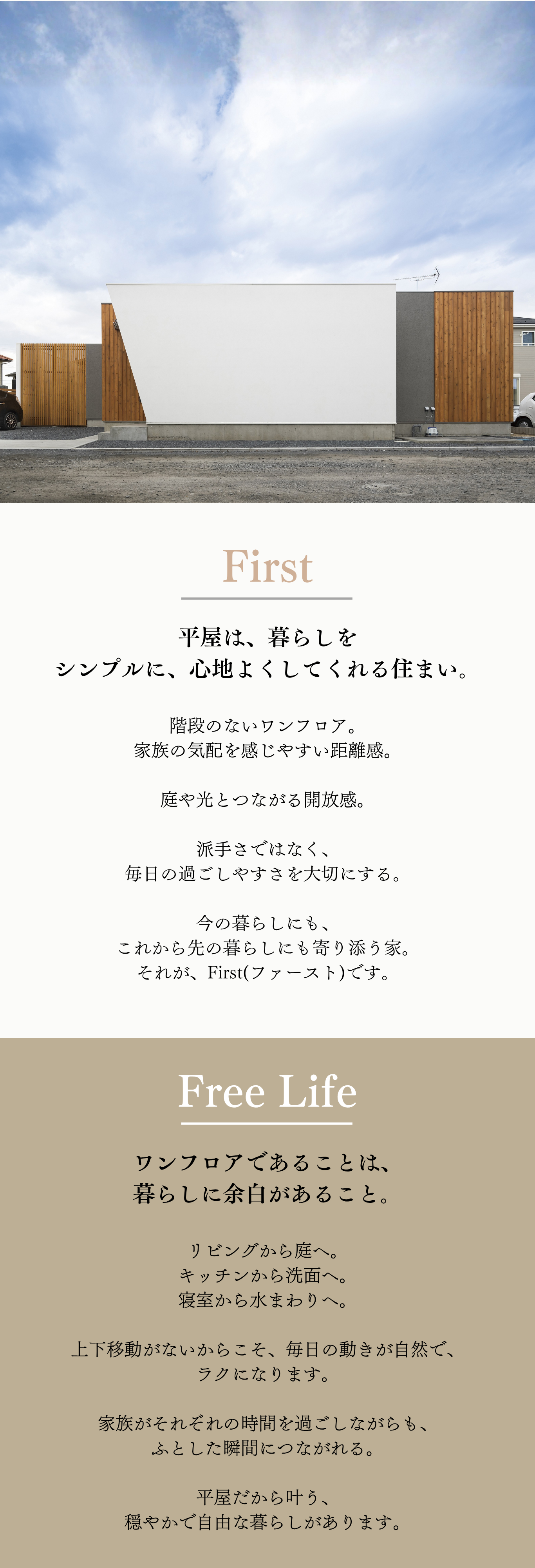 First01.png